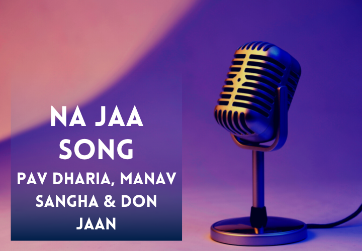 Na jaa Song Lyrics in Hindi and English
