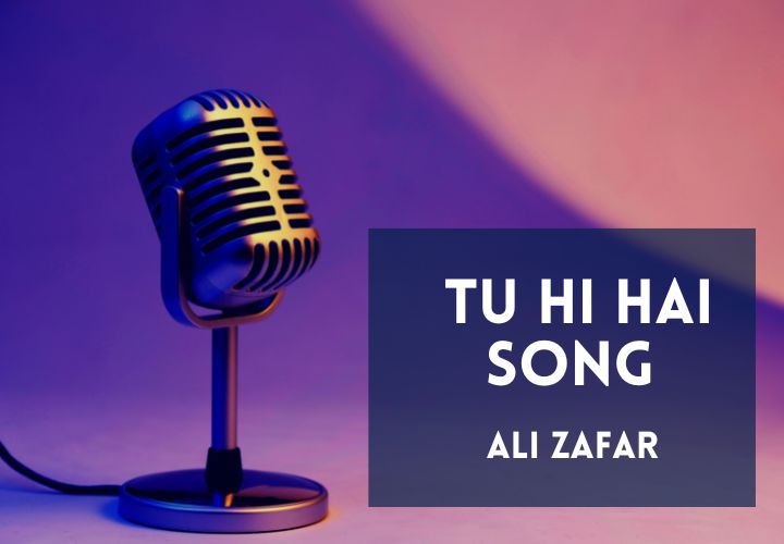 You are currently viewing Tu Hi Hai Song Lyrics in Hindi & English – <strong>Dear Zindagi</strong>