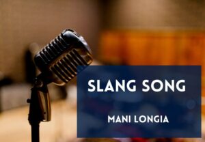 Read more about the article Slang Song Lyrics in English