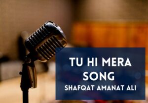 Read more about the article Tu Hi Mera Song Lyrics in English & Hindi