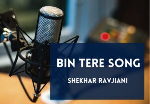 Read more about the article Bin Tere Song Lyrics in English & Hindi